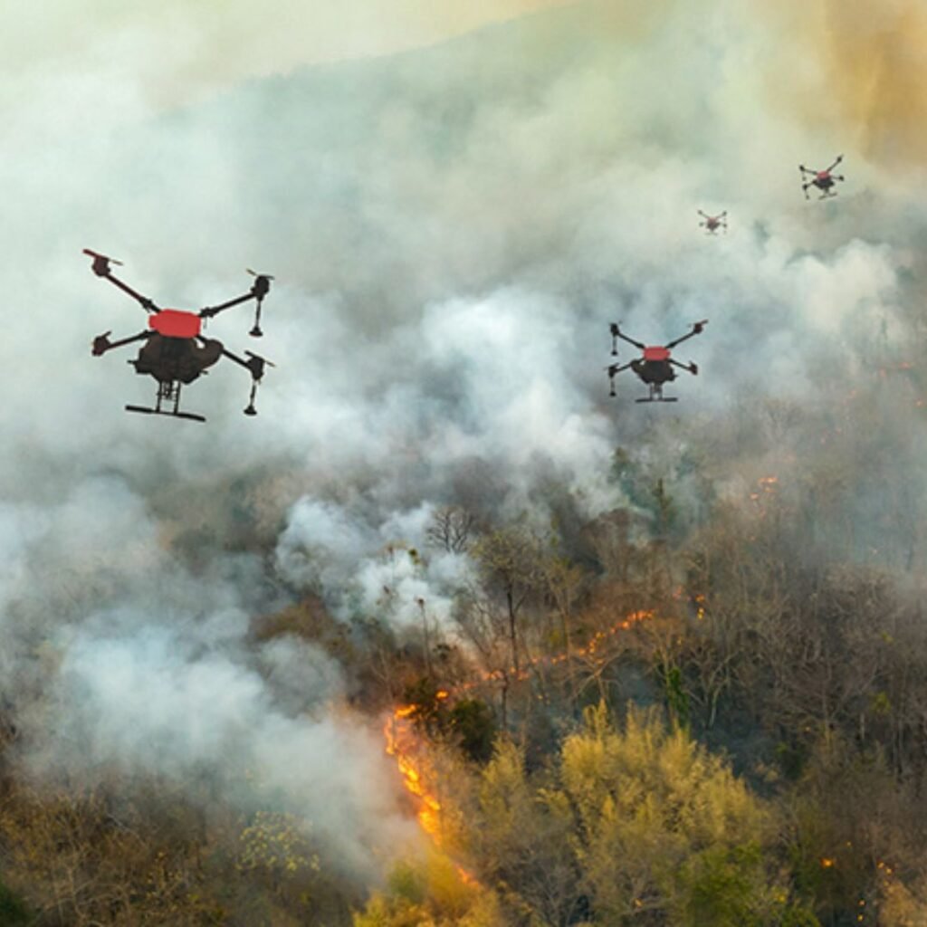 Disaster Response & Wildfire Management